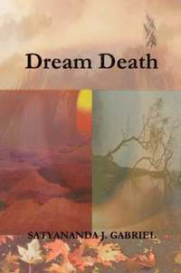 bokomslag Dream Death