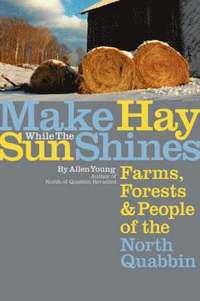 bokomslag Make Hay While the Sun Shines