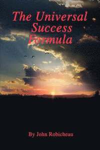 bokomslag The Universal Success Formula