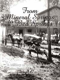 bokomslag From Mineral Springs to Bed Springs