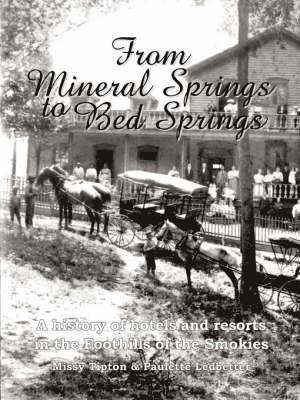 From Mineral Springs to Bed Springs 1