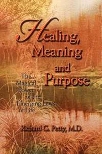 bokomslag Healing, Meaning and Purpose