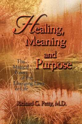 bokomslag Healing, Meaning and Purpose