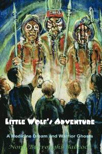 bokomslag Little Wolf's Adventure