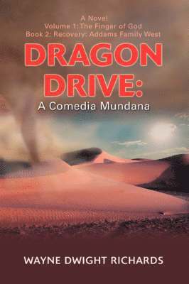 bokomslag Dragon Drive