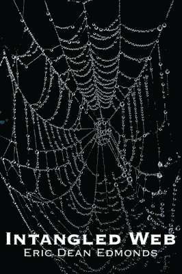 bokomslag Intangled Web