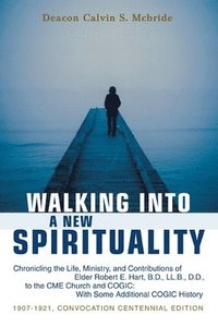 bokomslag Walking into a New Spirituality