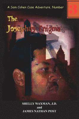 bokomslag The Josephus Enigma
