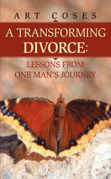 bokomslag Transforming Divorce