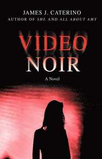 bokomslag Video Noir