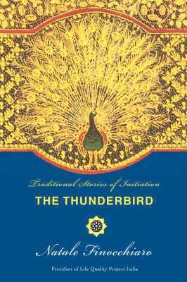 The Thunderbird 1