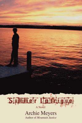 bokomslag Summer Intrigue