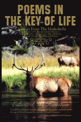 Edward W Houston, Edward W. Houston - Poems In The Key Of Life, Häftad