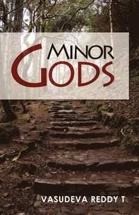 bokomslag Minor Gods