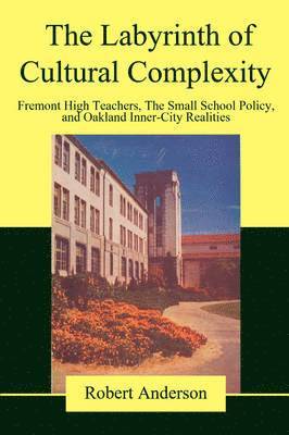 Robert Anderson - Labyrinth of Cultural Complexity, Häftad
