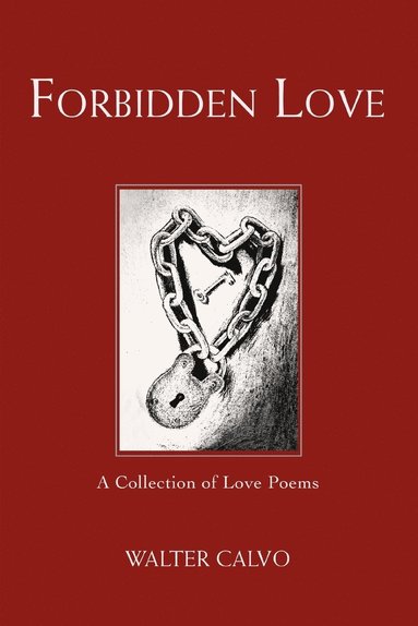 bokomslag Forbidden Love