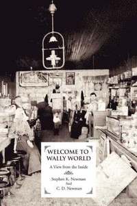 bokomslag Welcome to Wally World
