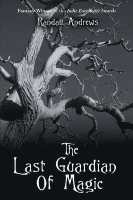 The Last Guardian of Magic 1