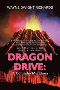bokomslag Dragon Drive
