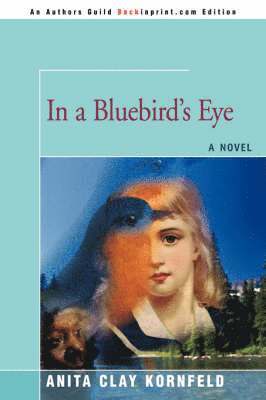 In a Bluebird's Eye 1