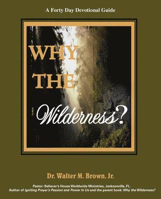 bokomslag Why the Wilderness