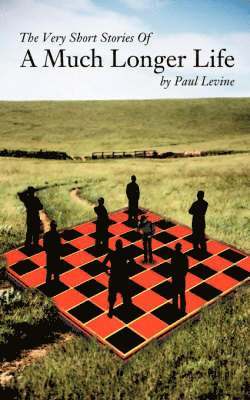 Very Short Stories of a Much Longer Life 1