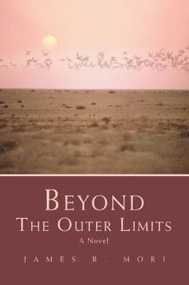 bokomslag Beyond the Outer Limits