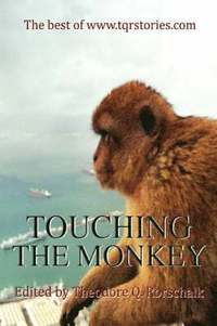 bokomslag Touching the Monkey