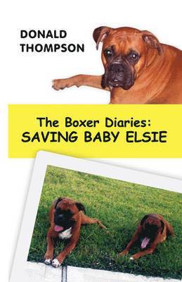 The Boxer Diaries 1