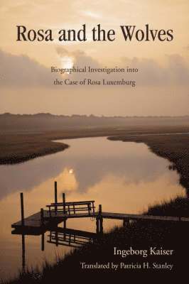 Patricia H Stanley, Patricia H. Stanley - Rosa and the Wolves, Inbunden