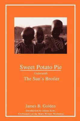 Sweet Potato Pie Underneath The Sun's Broiler 1