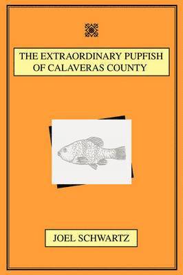 Extraordinary Pupfish of Calaveras County