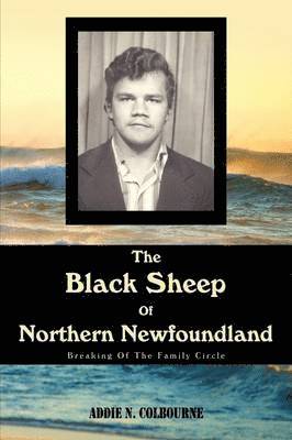 bokomslag Black Sheep Of Northern Newfoundland