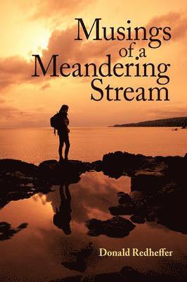 bokomslag Musings of a Meandering Stream