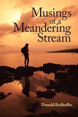 Musings of a Meandering Stream 1