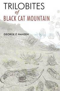 bokomslag Trilobites of Black Cat Mountain