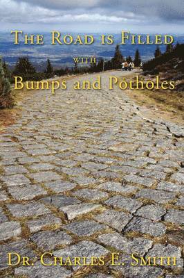 The Road Is Filled with Bumps and Potholes 1