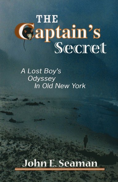 bokomslag Captain's Secret