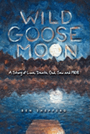 bokomslag Wild Goose Moon