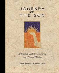 bokomslag The Journey of the Sun