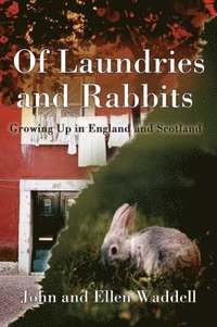 bokomslag Of Laundries and Rabbits