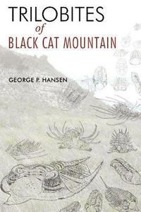 bokomslag Trilobites of Black Cat Mountain