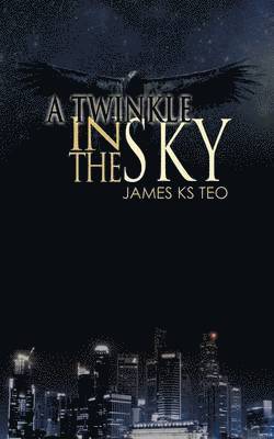 A Twinkle in the Sky 1