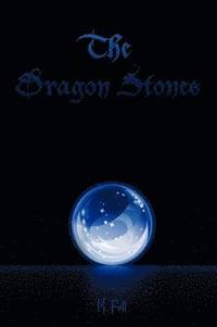 bokomslag Dragon Stones