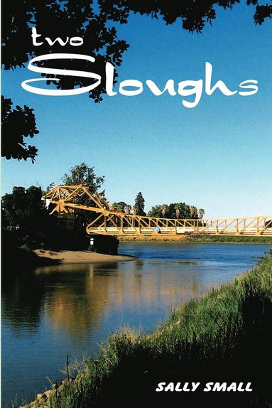 bokomslag Two Sloughs
