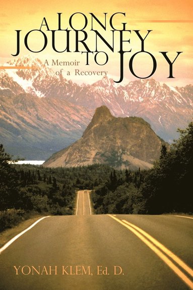 bokomslag Long Journey to Joy