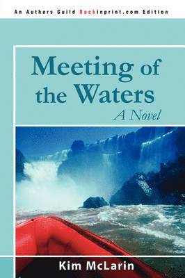 Meeting of the Waters 1