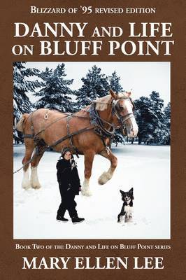 Mary Ellen Lee - Danny and Life on Bluff Point, Häftad