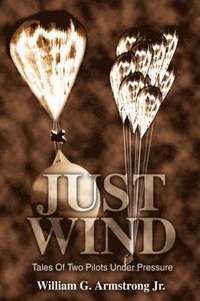 bokomslag Just Wind