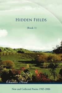 bokomslag Hidden Fields